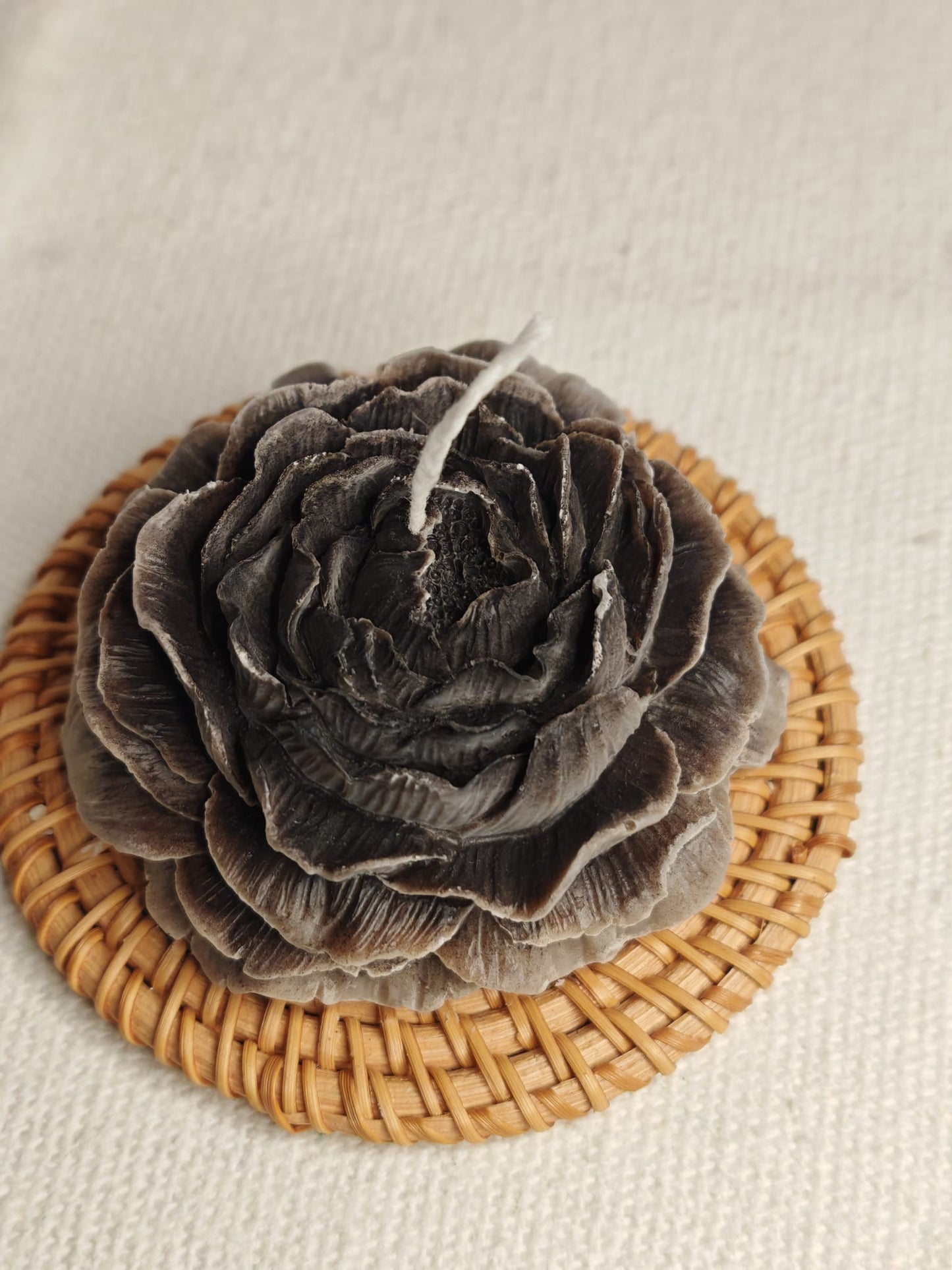 Kaîne : Pivoine Grise